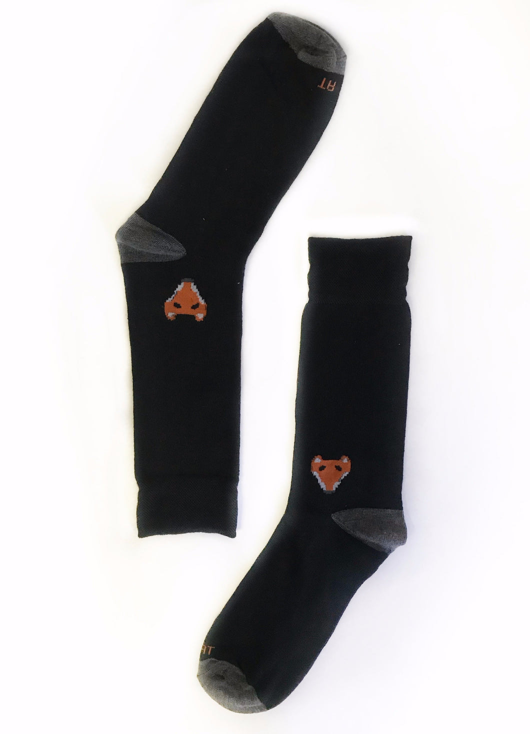 Fox 🦊 on Sox