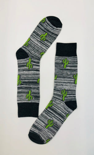 Cactus on stripes